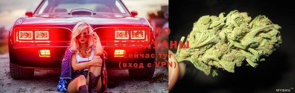2c-b Осинники
