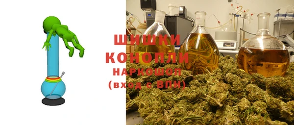 соль ск Осташков