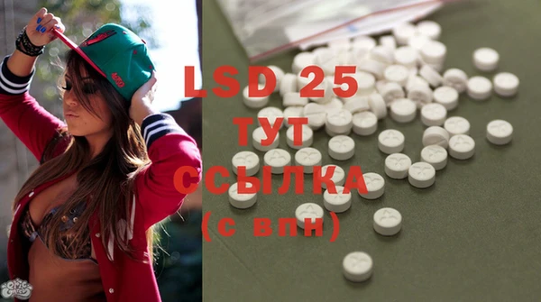 2c-b Осинники
