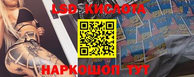 PSILOCYBIN Гусев