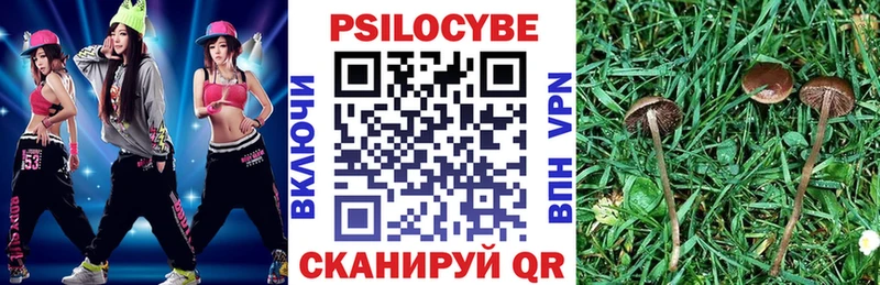 купить закладку  Луховицы  Псилоцибиновые грибы мицелий 