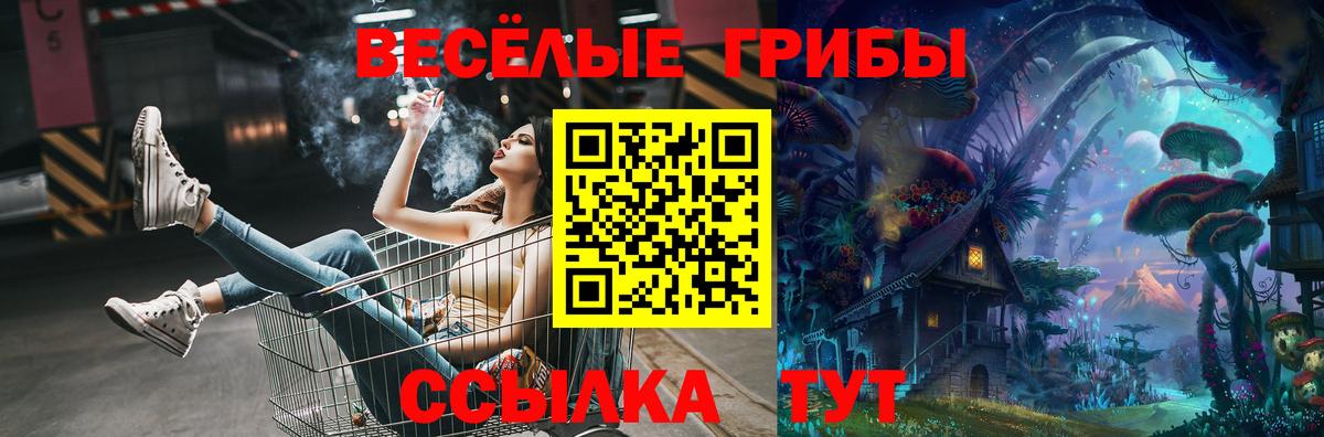 Псилоцибиновые грибы GOLDEN TEACHER  Галлюциногенные грибы MAGIC MUSHROOMS  магазин продажи наркотиков  Луховицы 